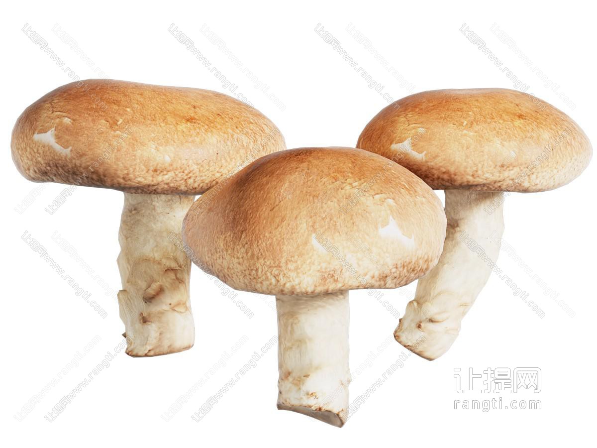 香菇蘑菇食物