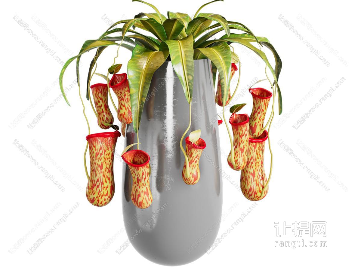 现代室内盆栽植物