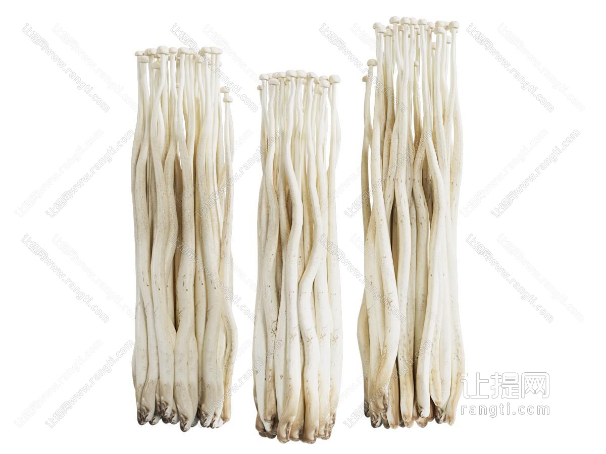 金针菇蘑菇蔬菜