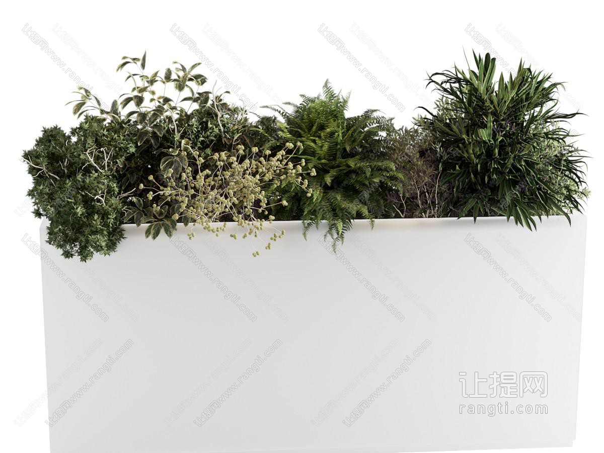 现代花箱盆景盆栽植物