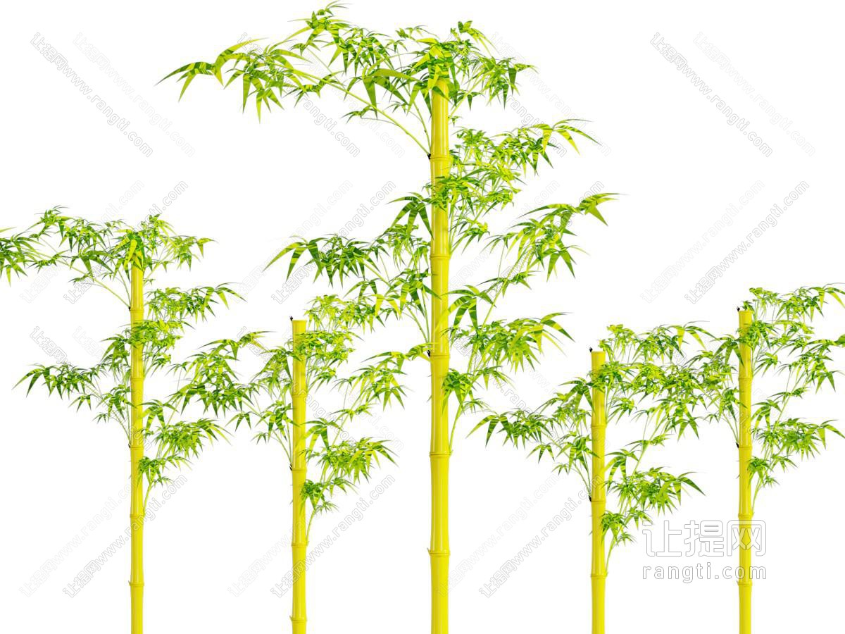 竹子 花艺