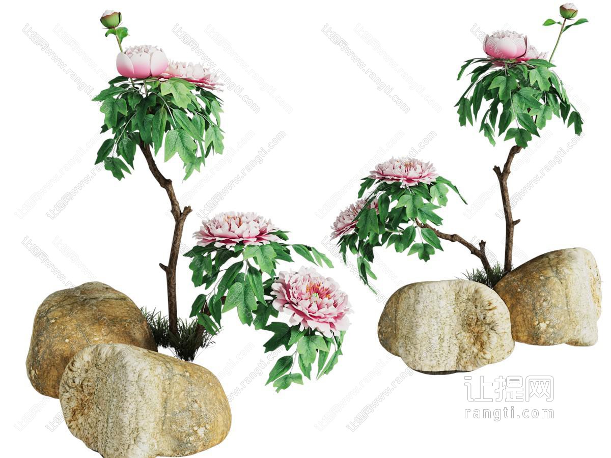 新中式牡丹 石头景观园艺小品