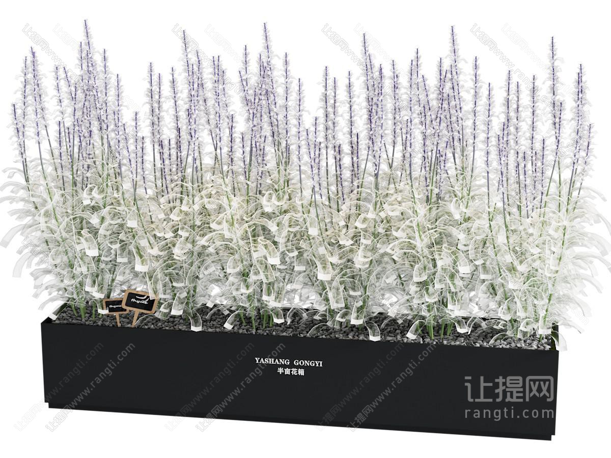 薰衣草花箱