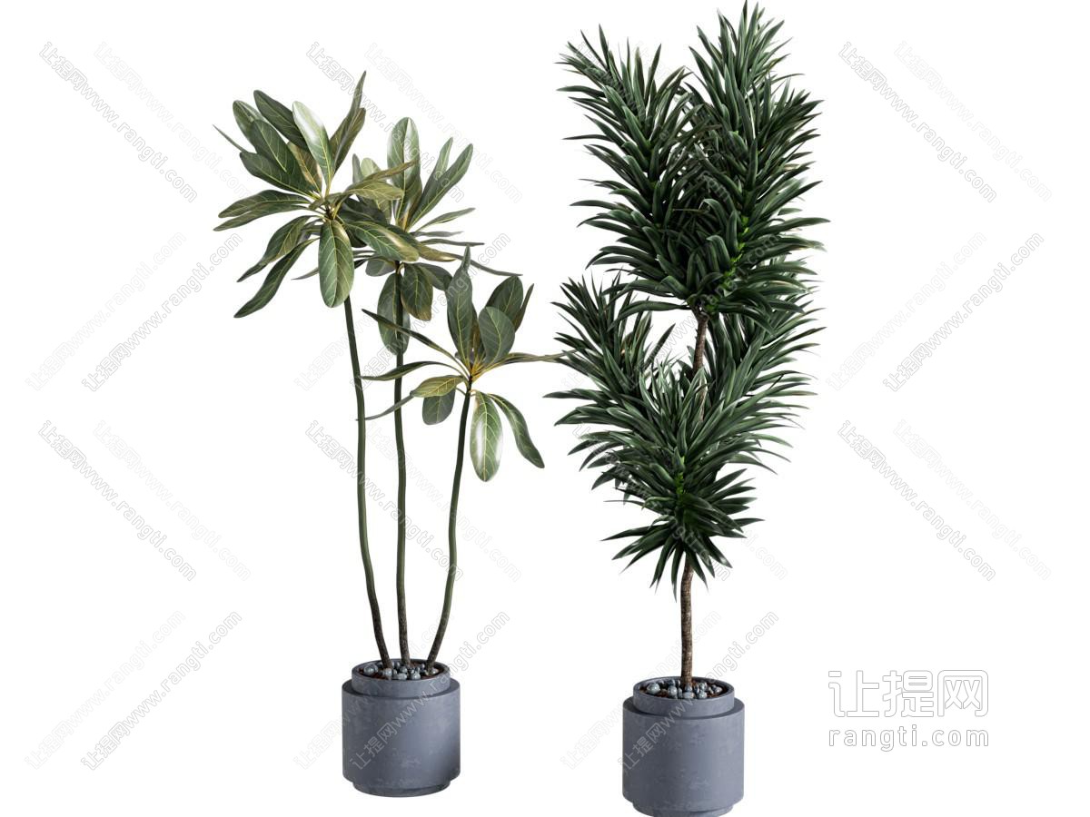 植物盆栽组合