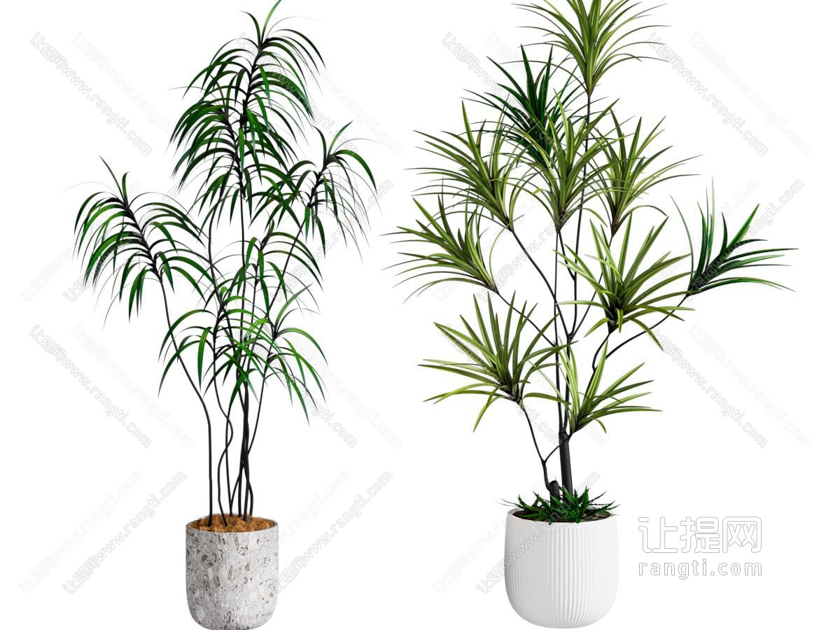 现代绿植盆栽 落地