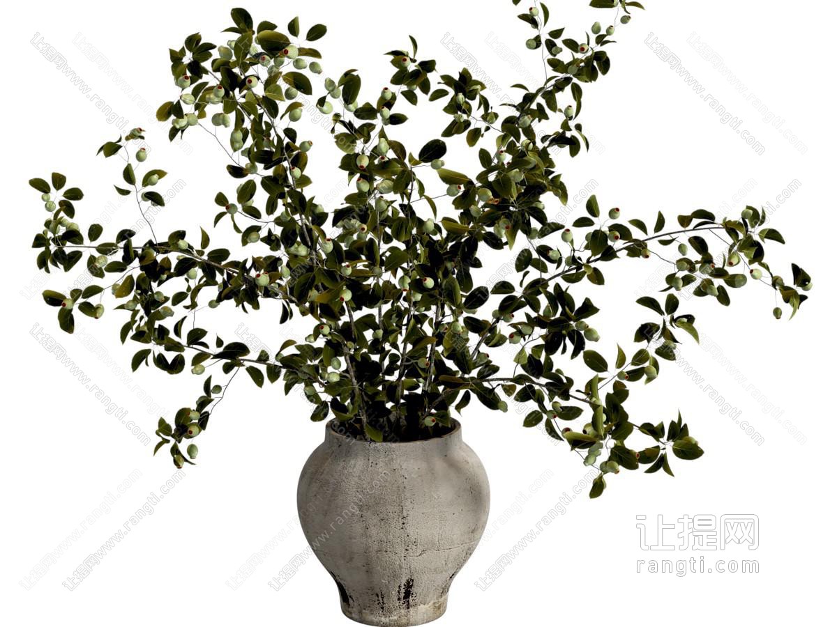 现代花艺 现代花瓶花艺 陶罐花艺