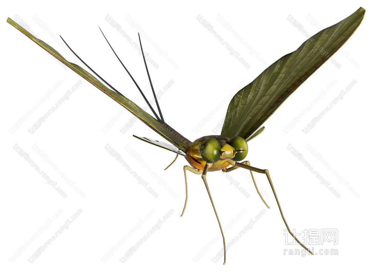 现代蜉蝣