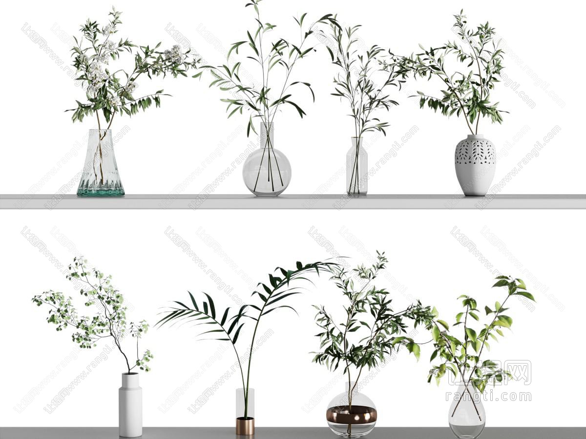 现代水生植物 水培绿植