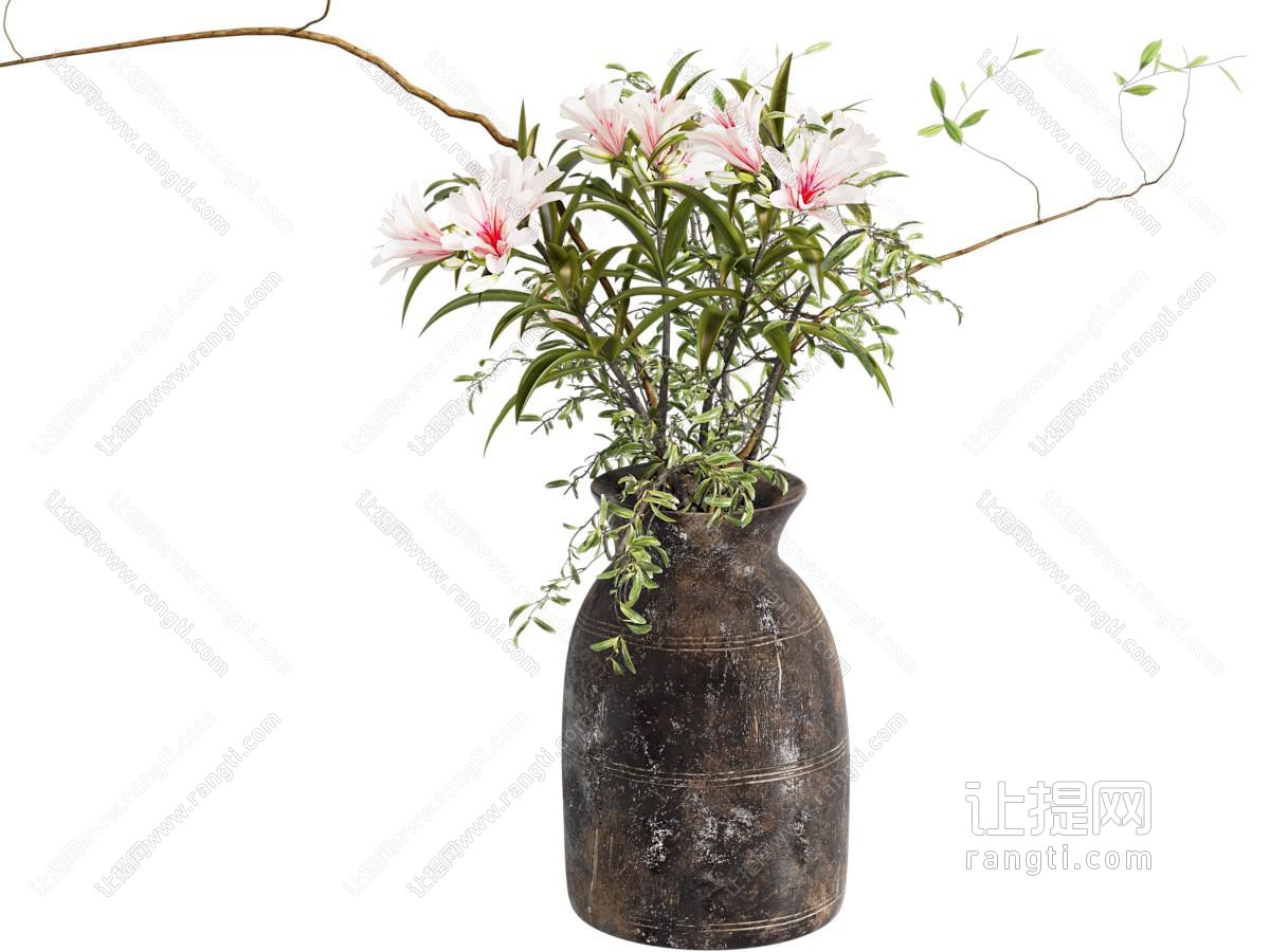 现代盆栽