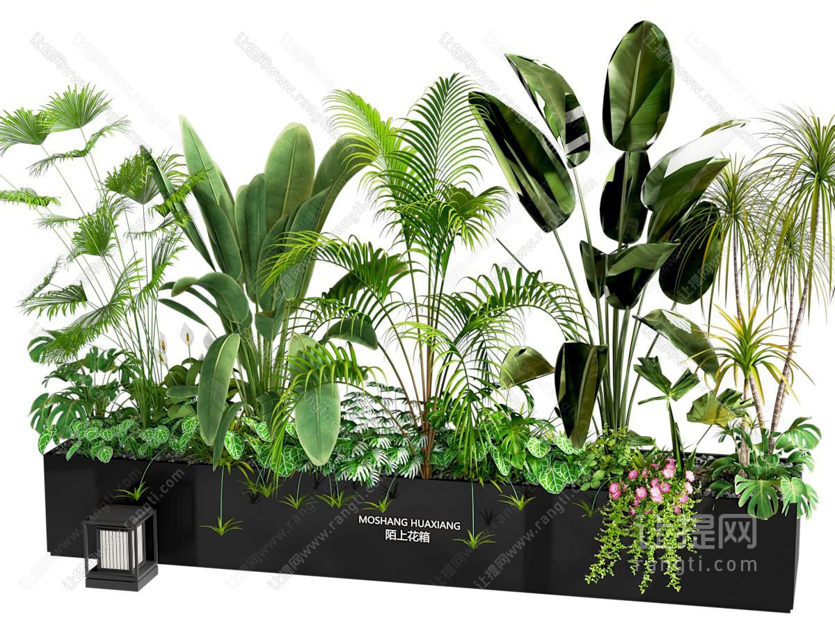 植物堆