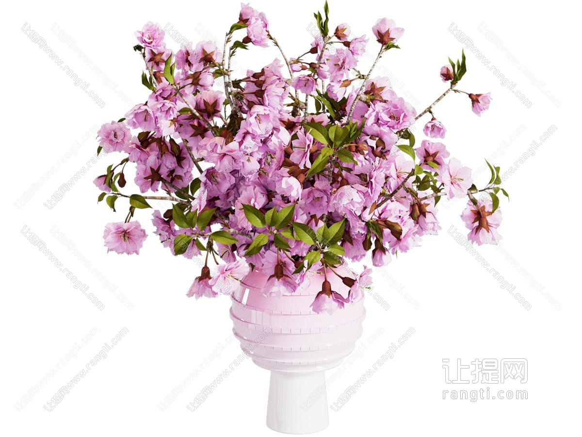 现代花瓶 花艺 插花 樱花