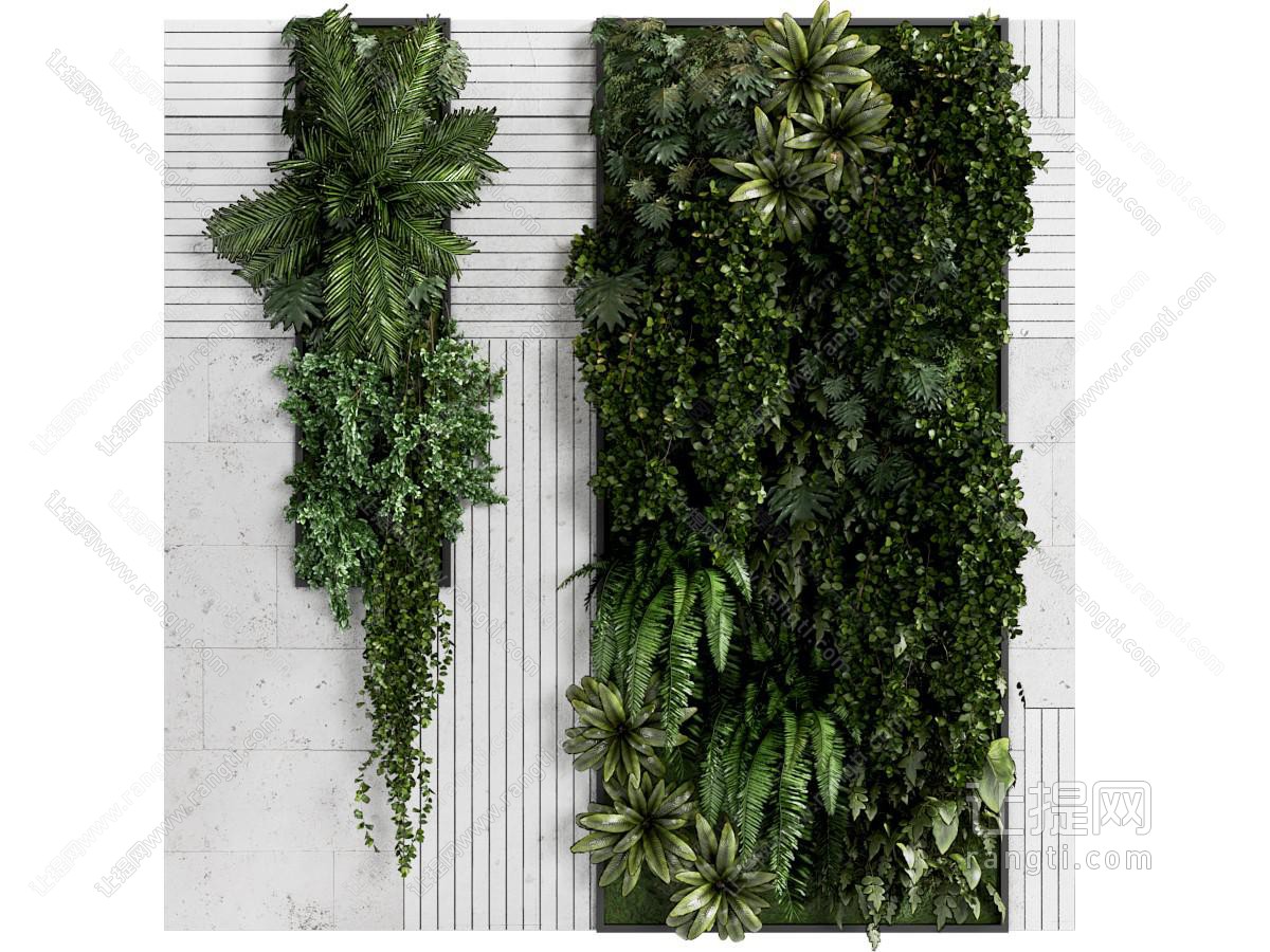 新中式植物墙