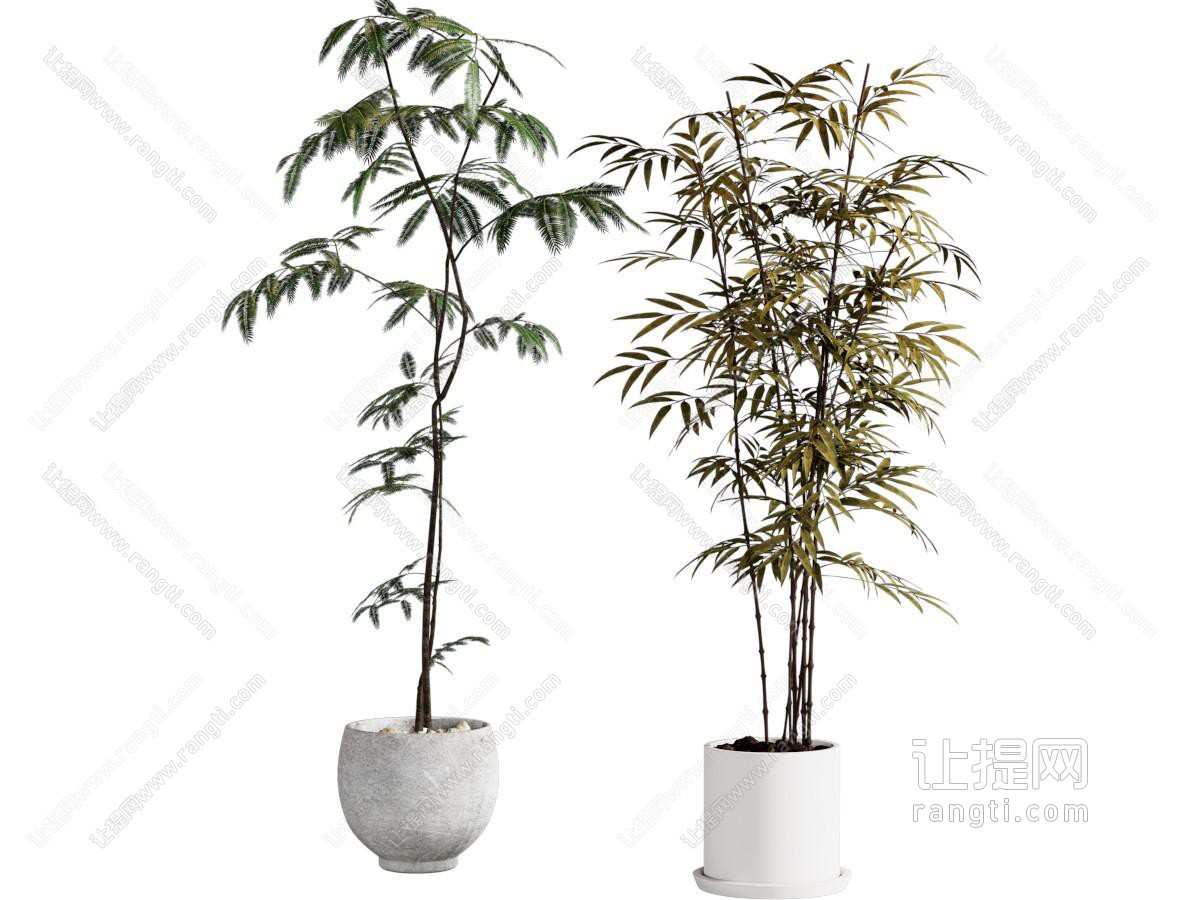 盆栽 新中式绿植盆栽
