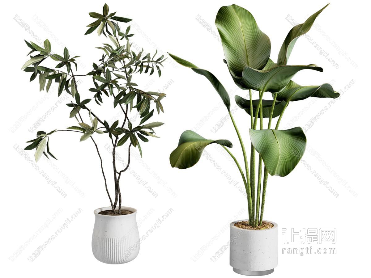 现代盆栽组合