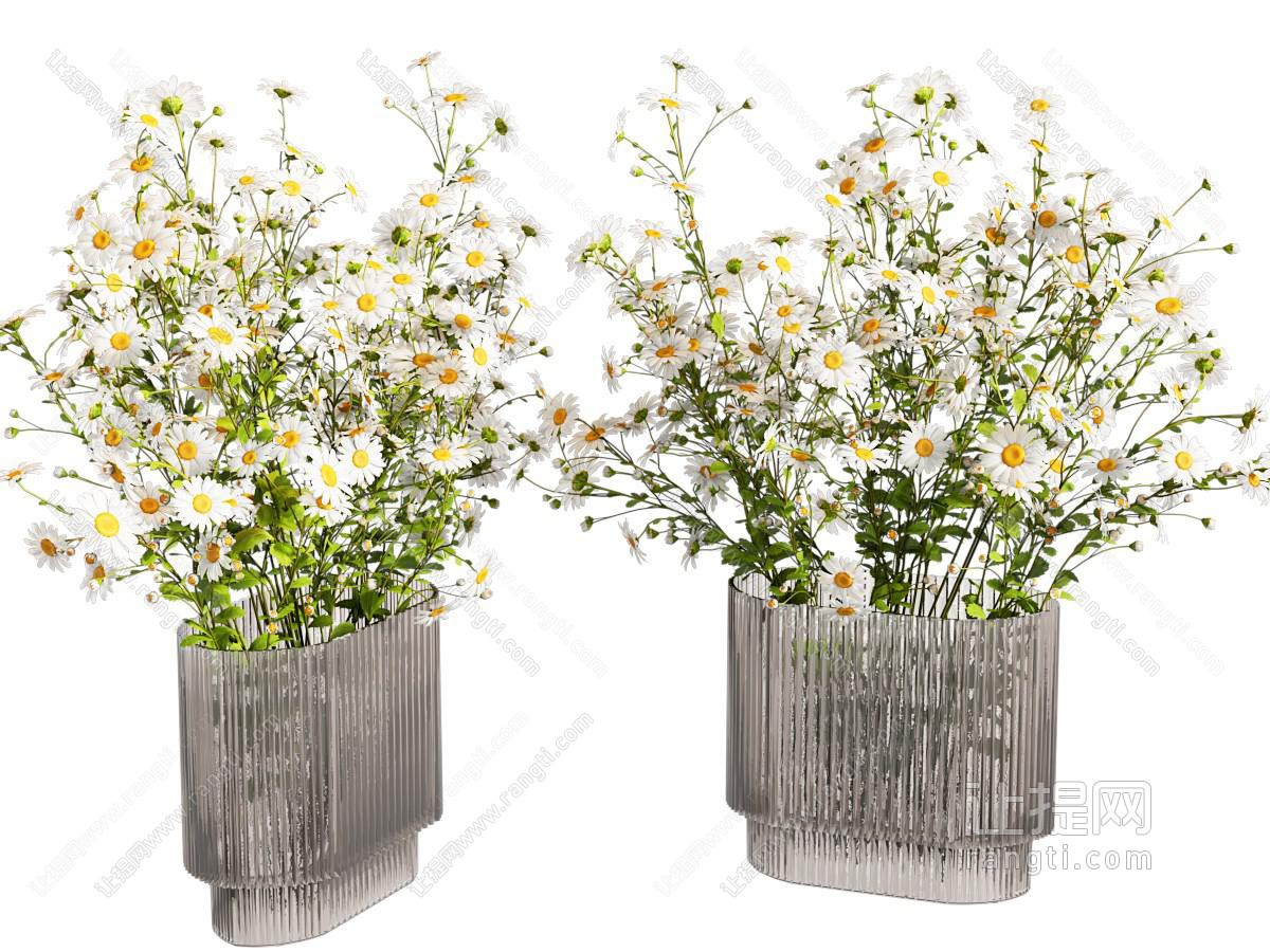 现代花瓶花艺 洋甘菊 邹菊