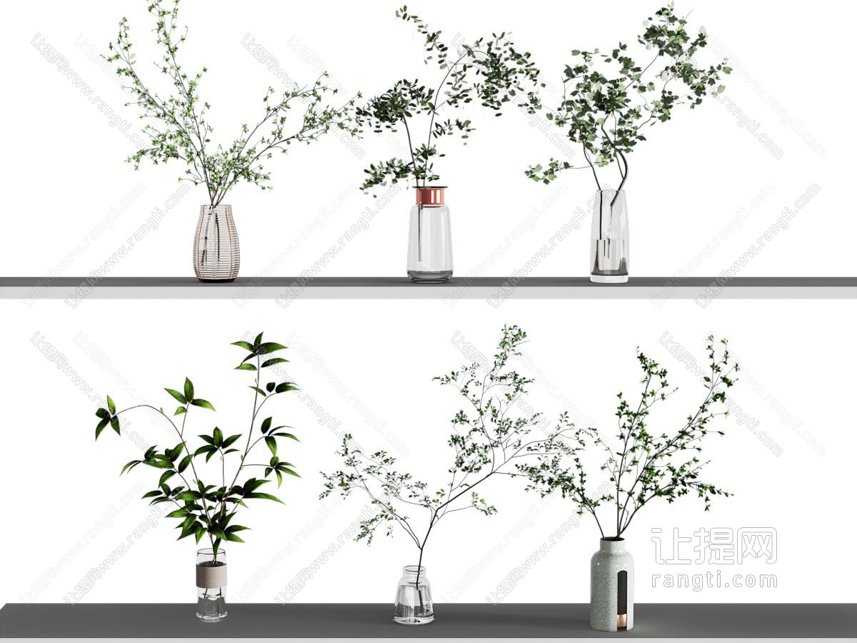 水生植物