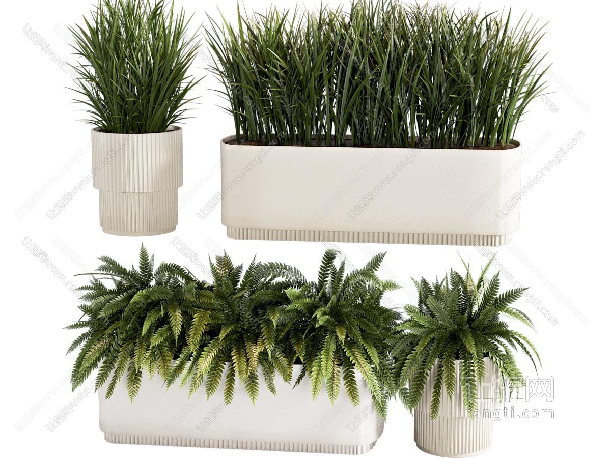 现代绿植盆栽