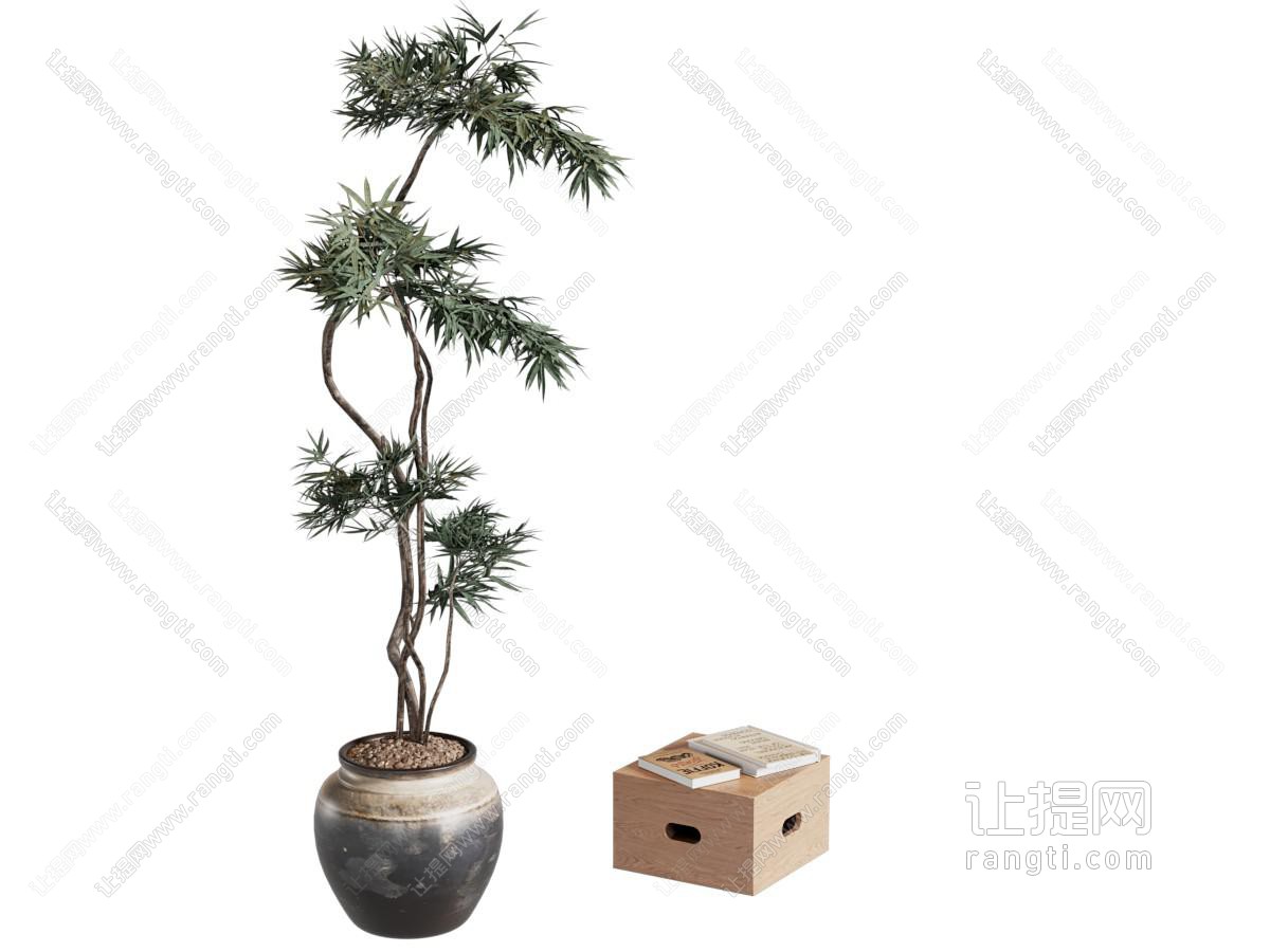盆栽