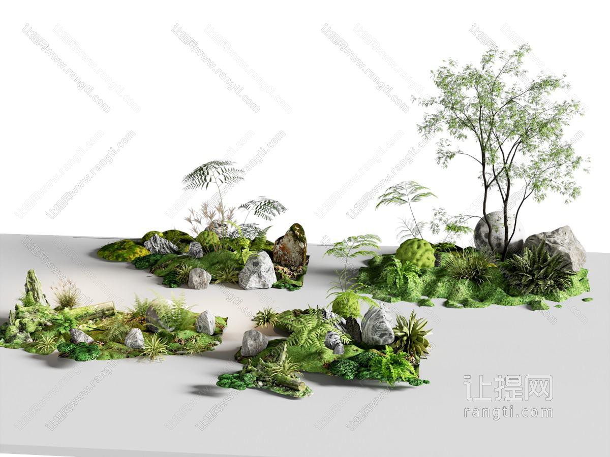植物景观