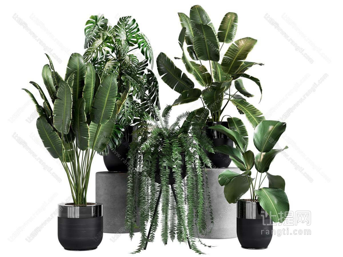 现代花盆盆景盆栽植物
