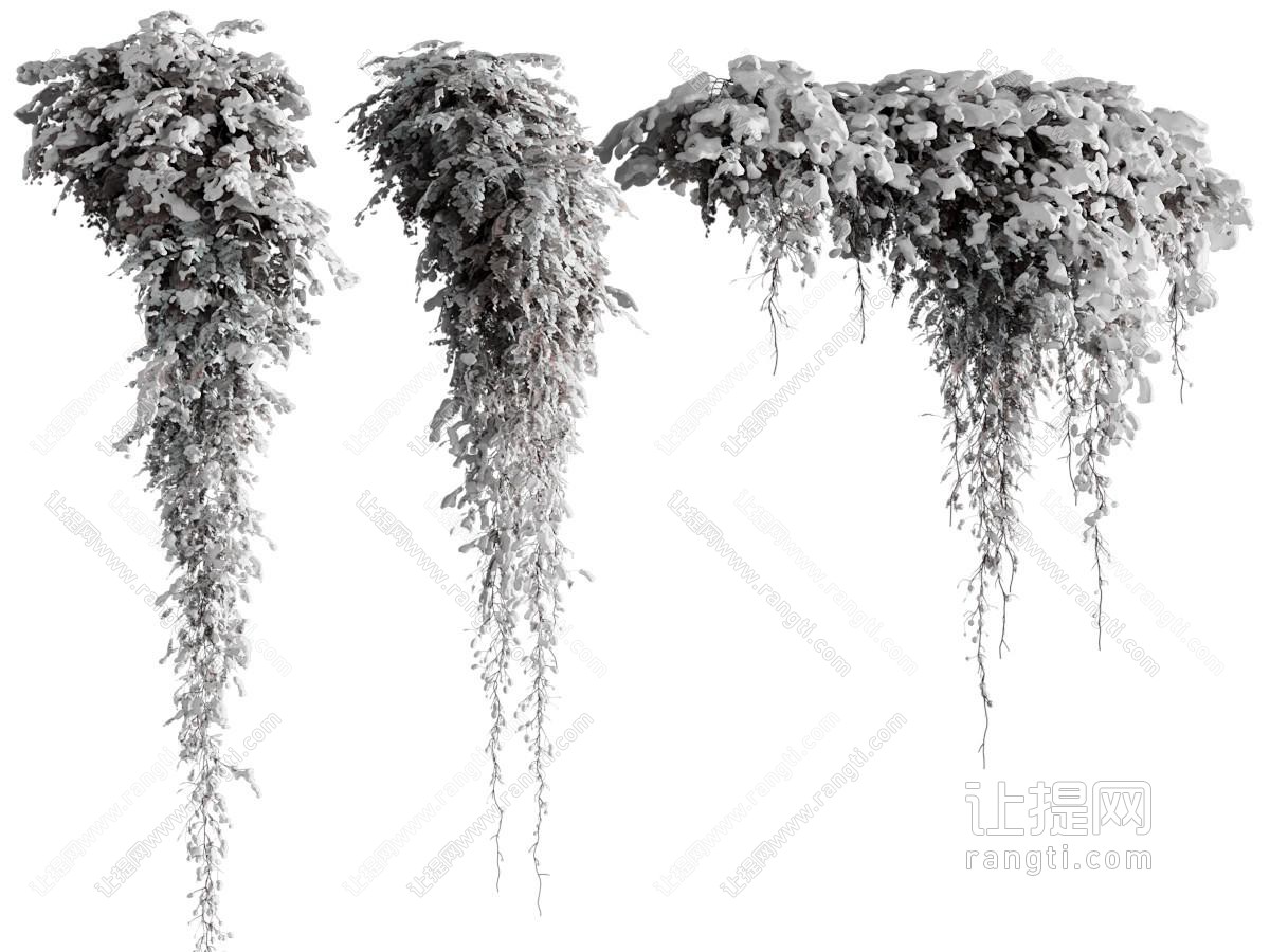 现代雪景藤蔓