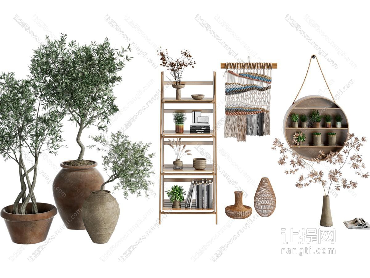 盆栽绿植