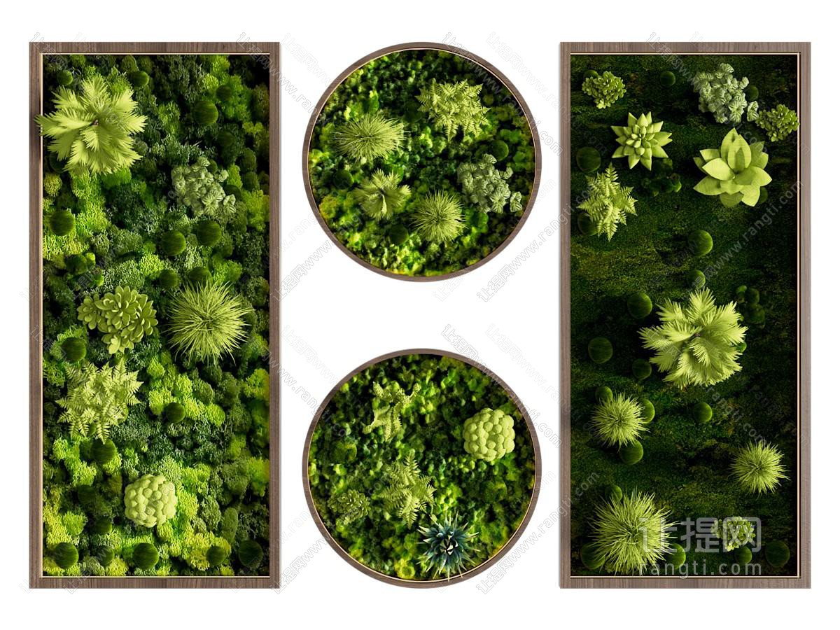 现代植物装饰挂画