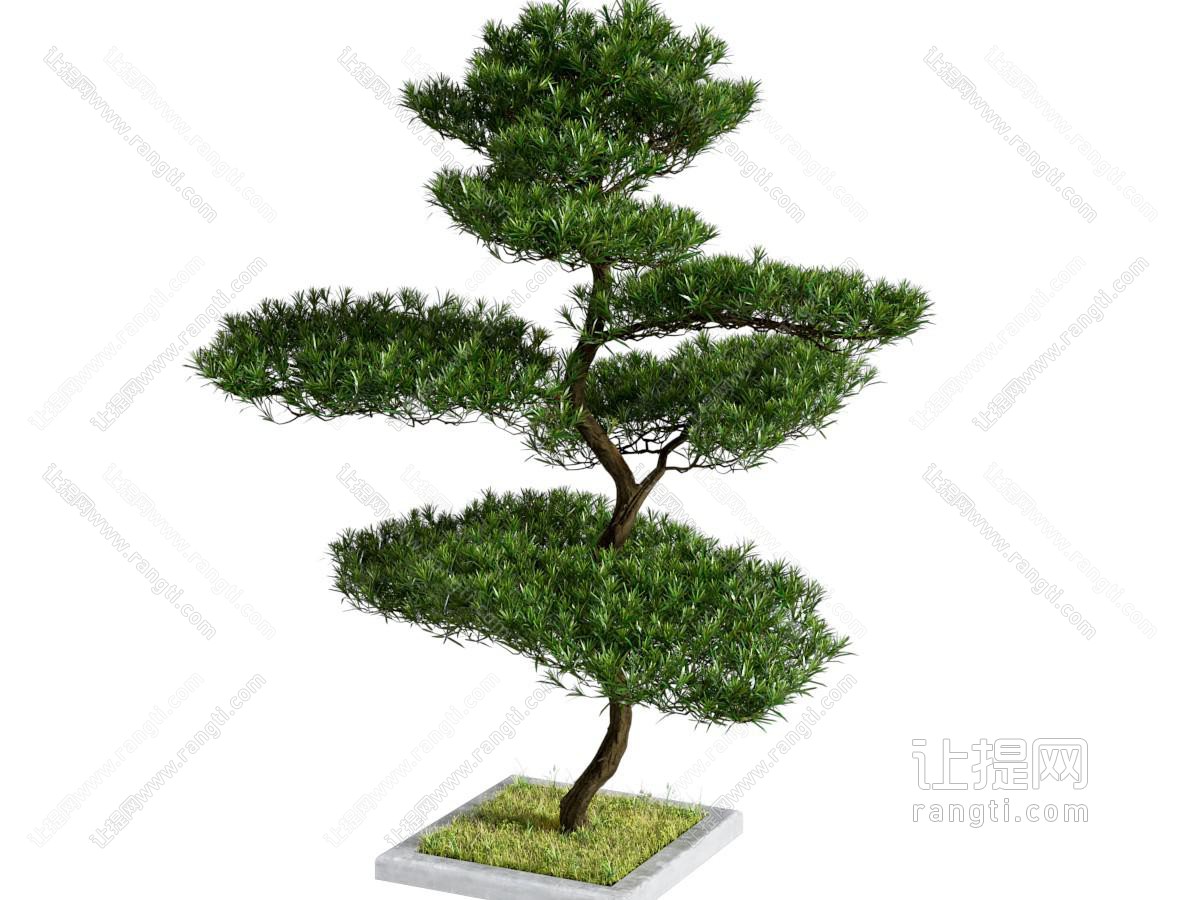 树木