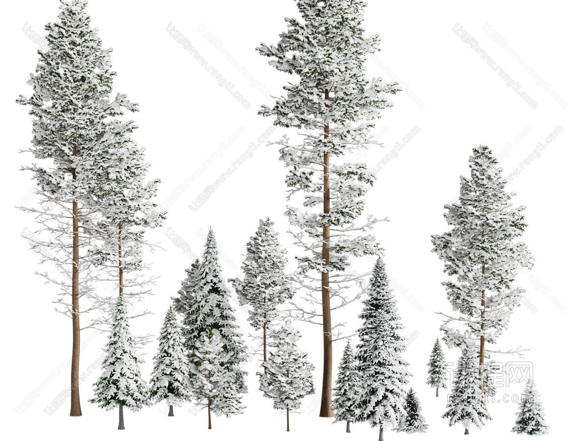 雪树