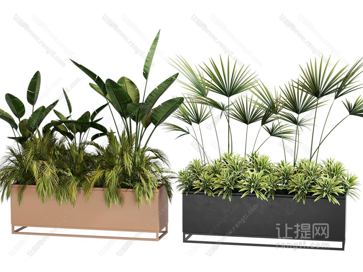 现代植物盆栽