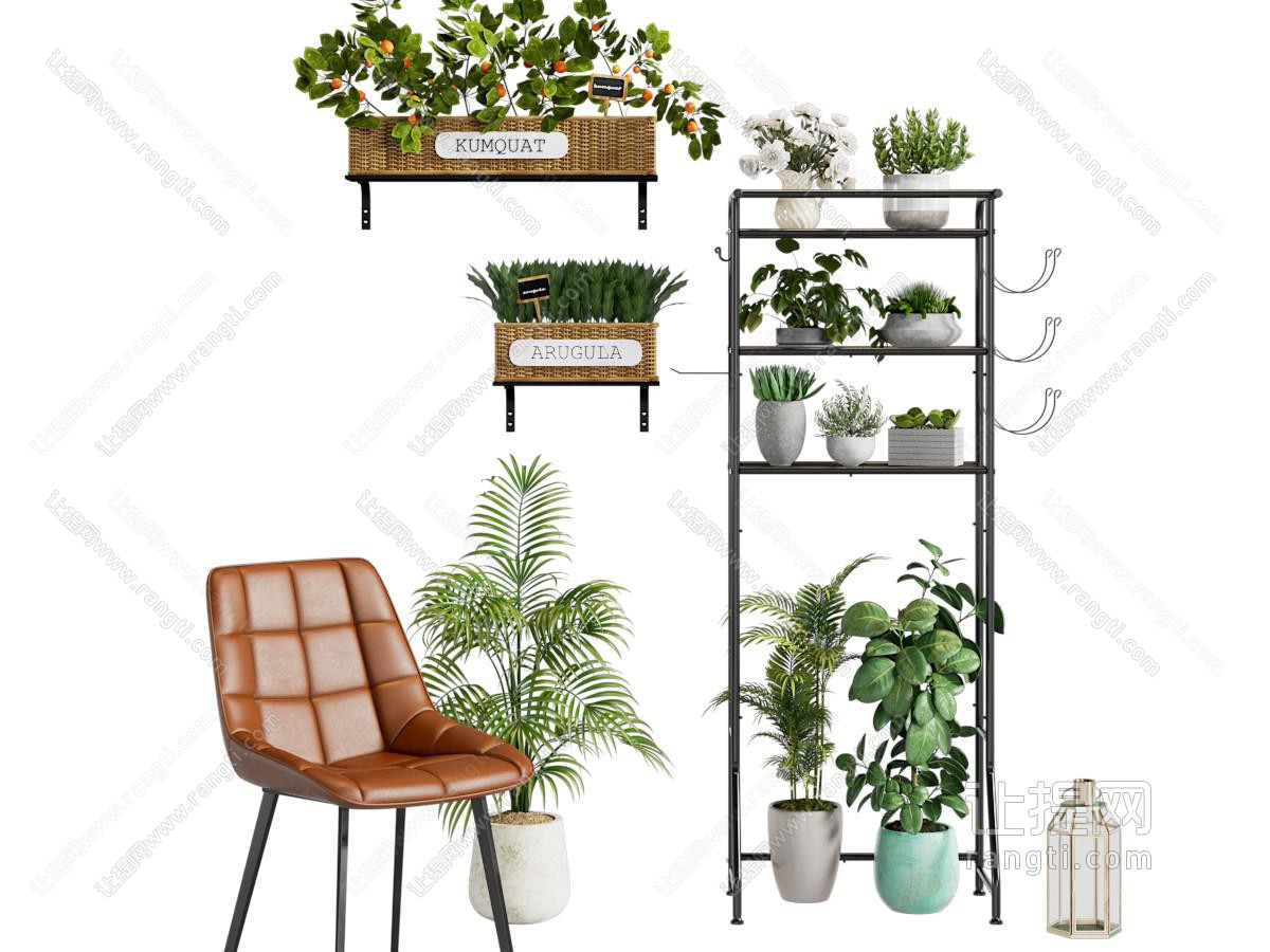 现代花架绿植盆栽
