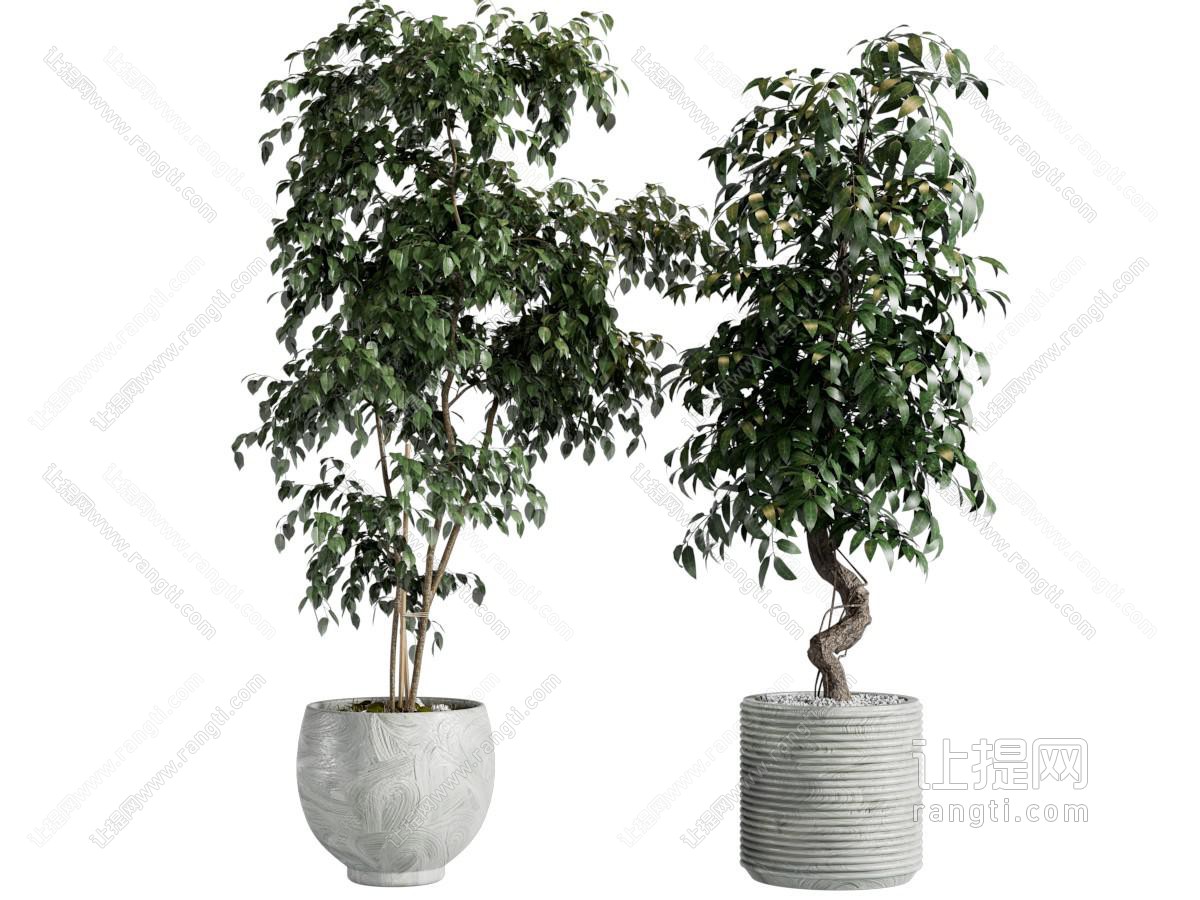 现代绿植盆栽