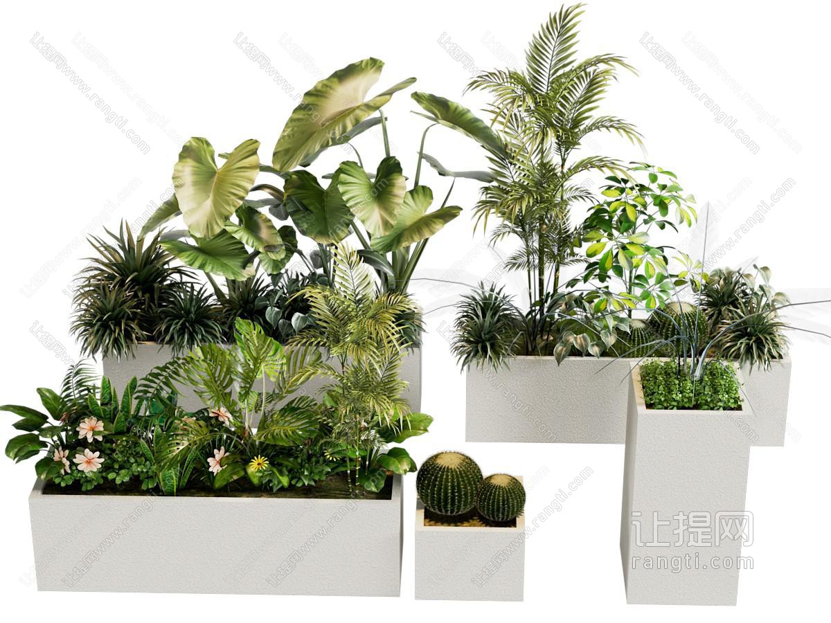 花箱 植物堆 外摆绿植花箱 植物组合花箱
