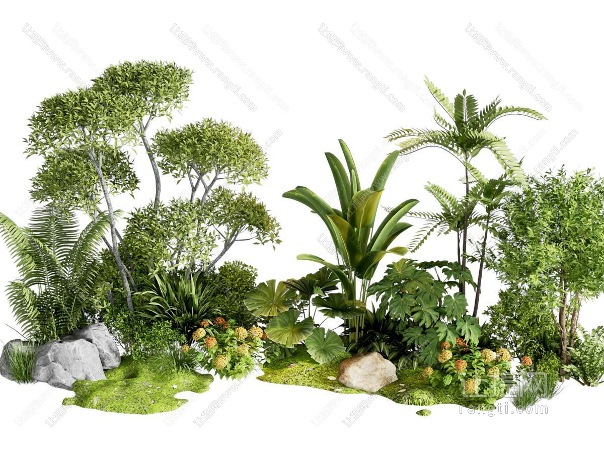花草组合
