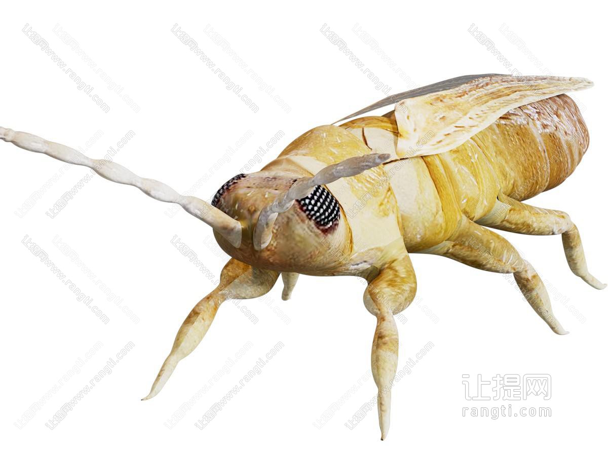 现代蓟马烟粉虱