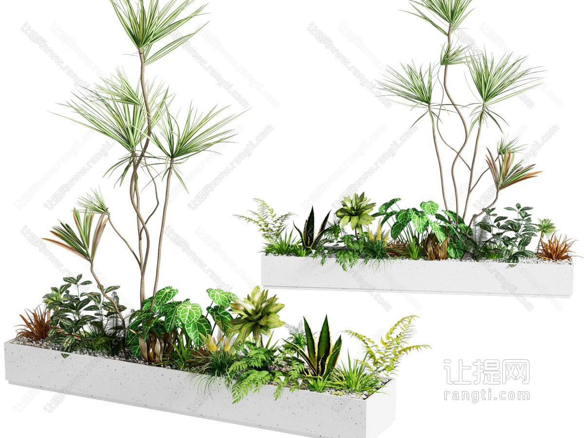 绿植 绿植堆 植物造景 盆栽