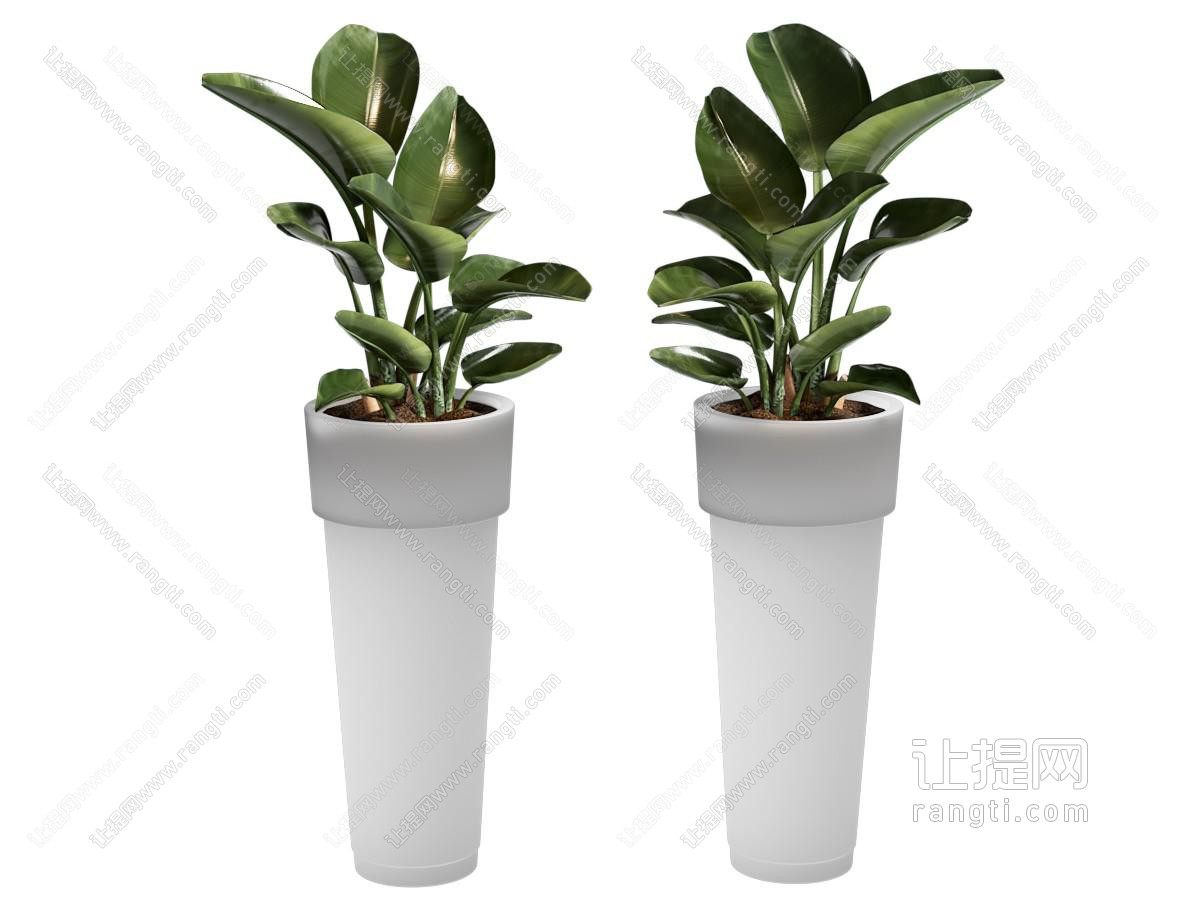现代花盆盆景盆栽植物