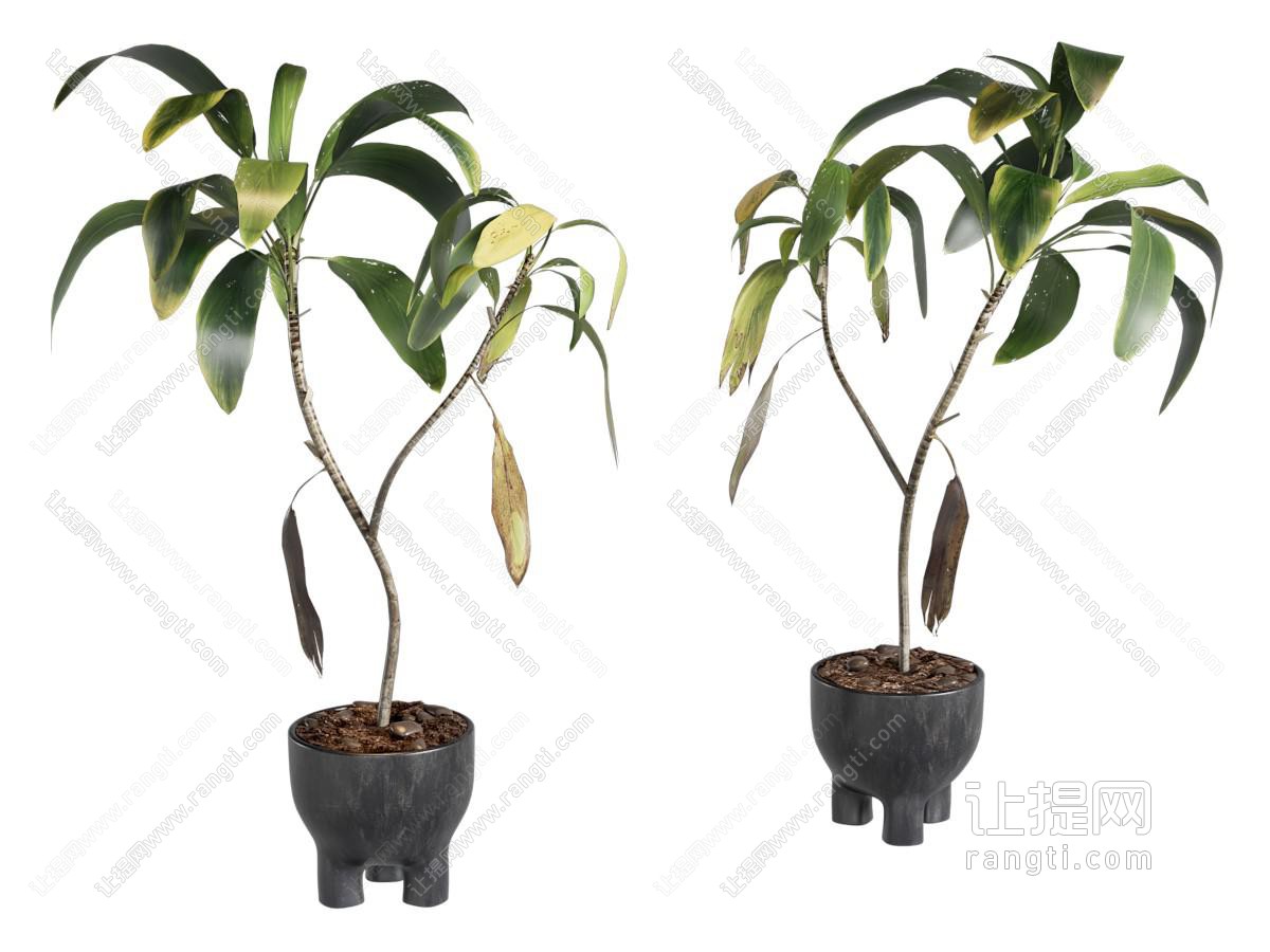 盆栽 中古风绿植盆栽