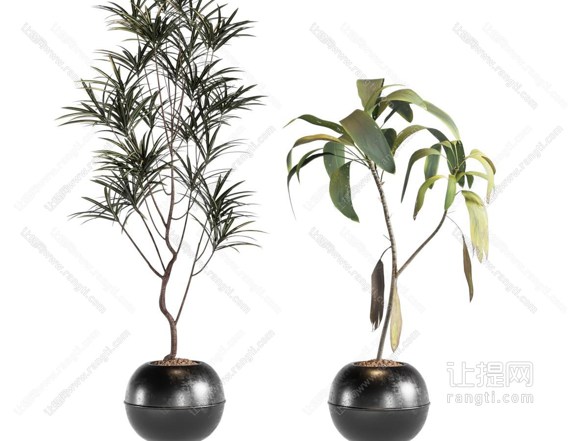 盆栽 中古风绿植盆栽 盆景 树
