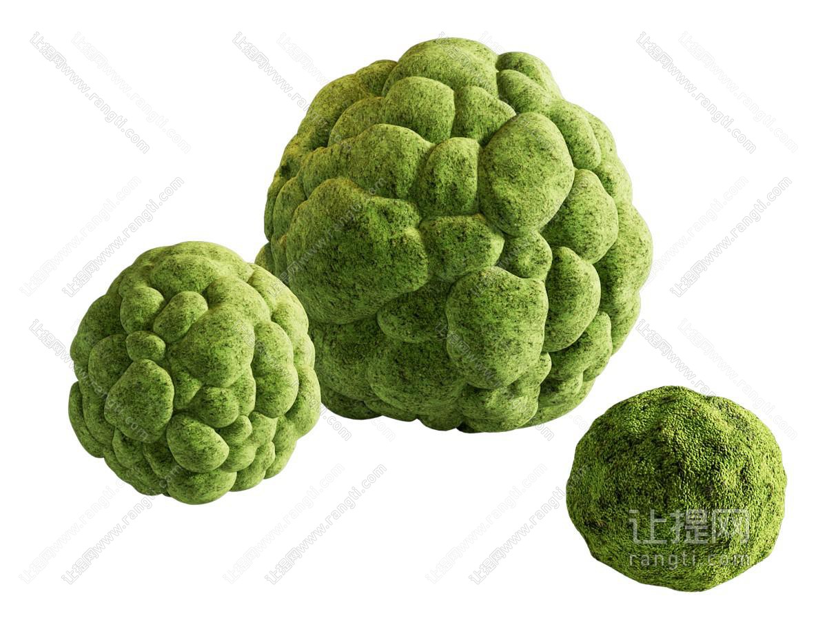 苔藓