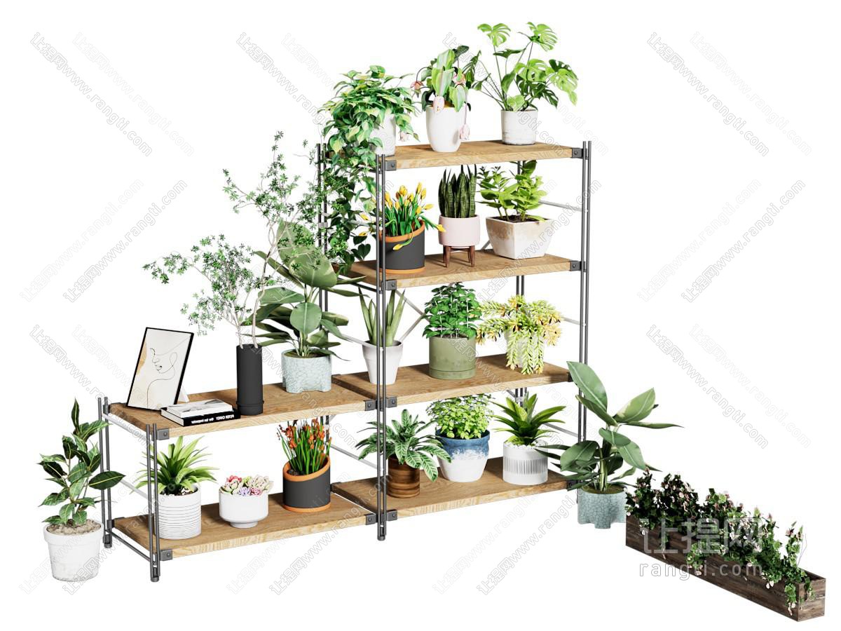 绿植墙