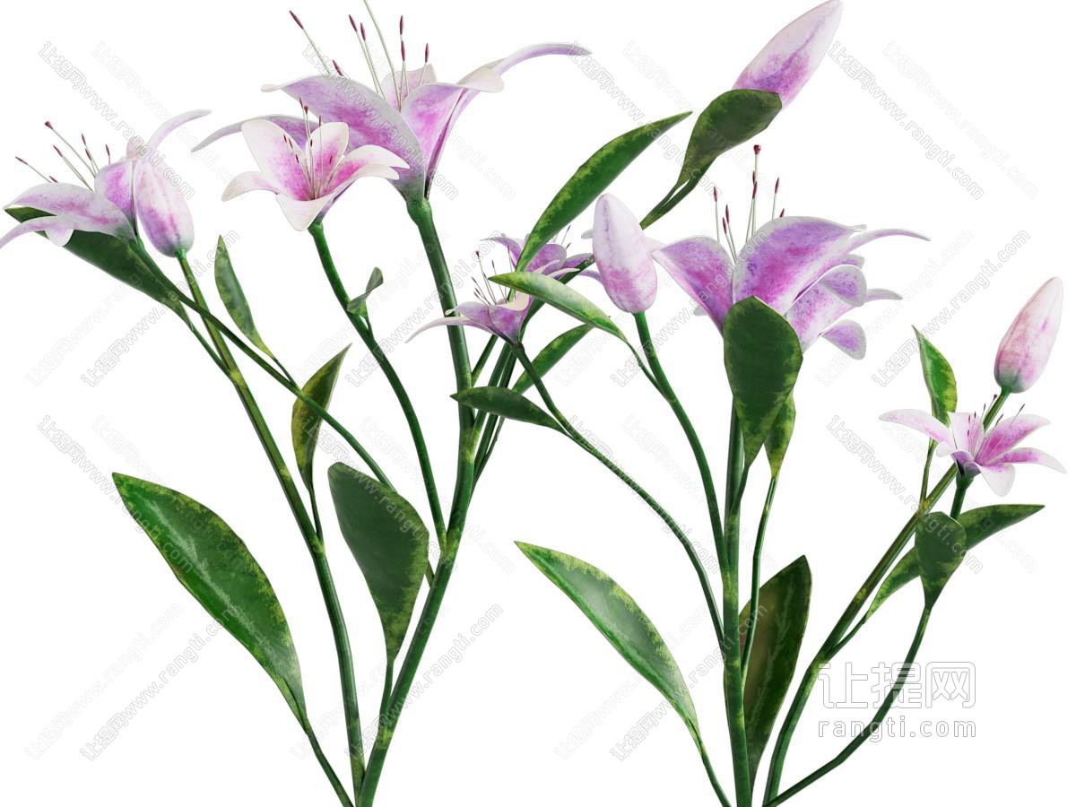 花草组合
