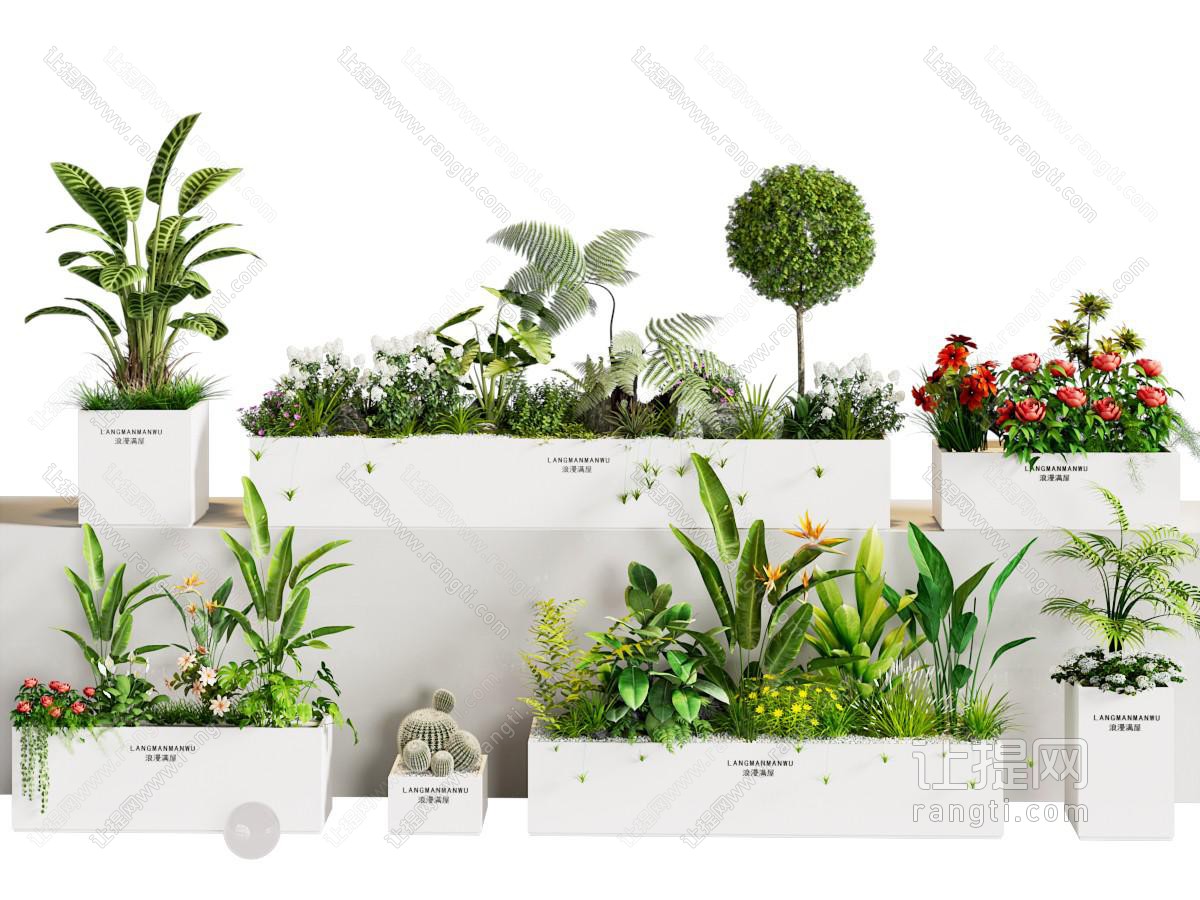 花草组合
