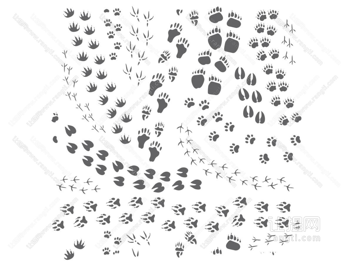 动物脚印 卡通元素 图案插画