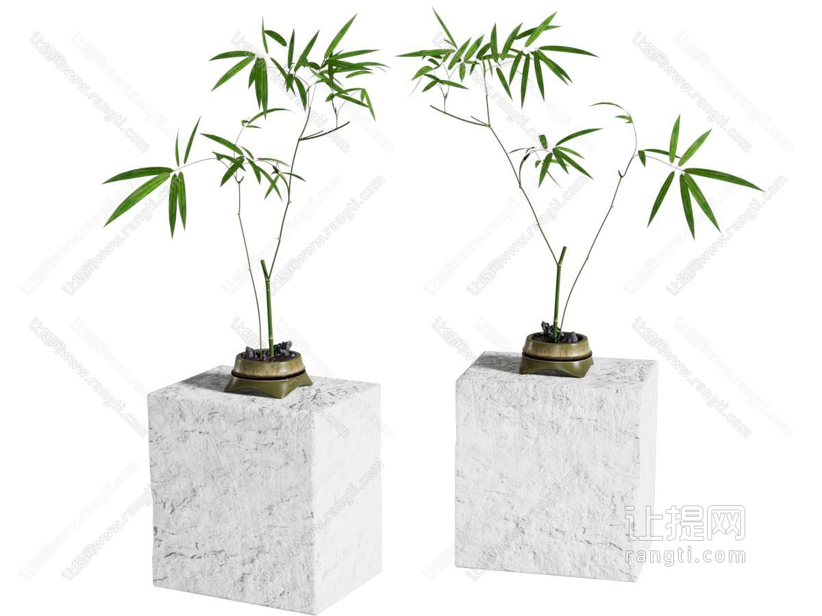 现代中式花艺 绿植 茶桌 盆景 书桌 竹