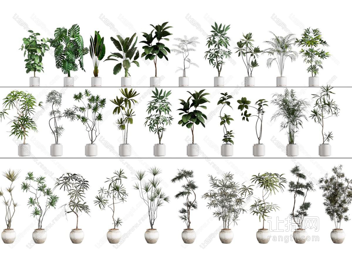 盆栽 绿植 盆栽 绿植盆栽组合