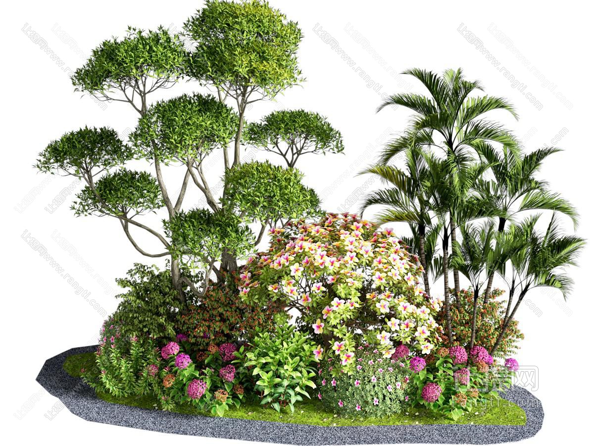 植物堆 灌木 花境 花草组合 花卉 杜鹃花