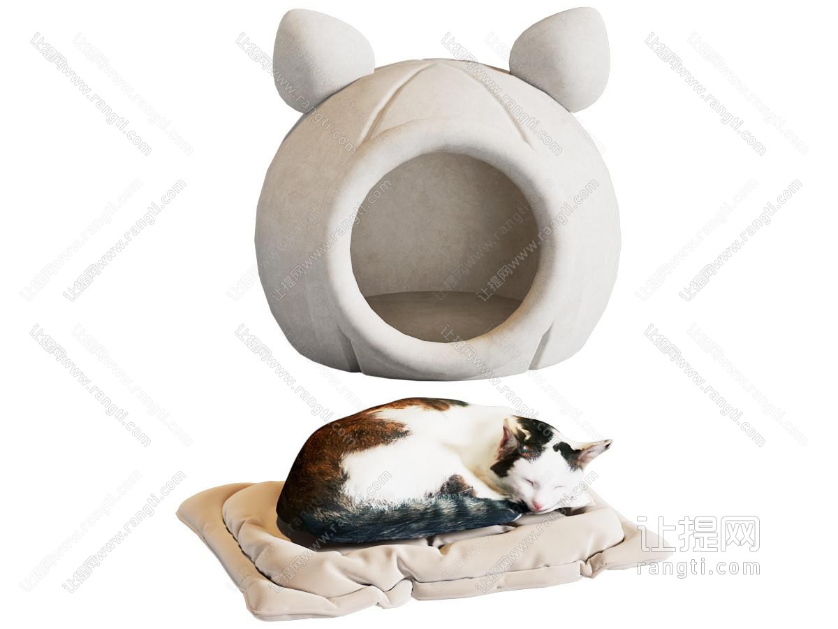 猫 猫窝