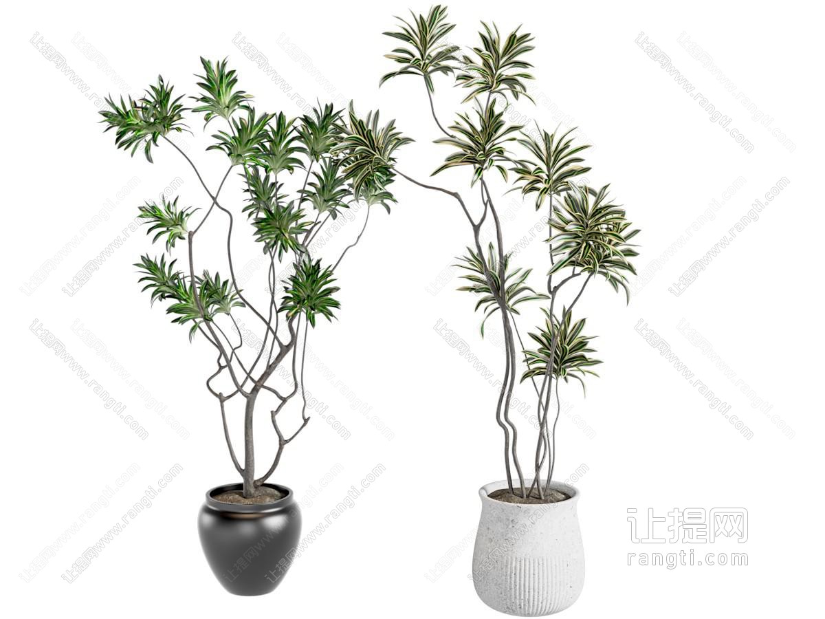 盆栽 中古风盆景绿植