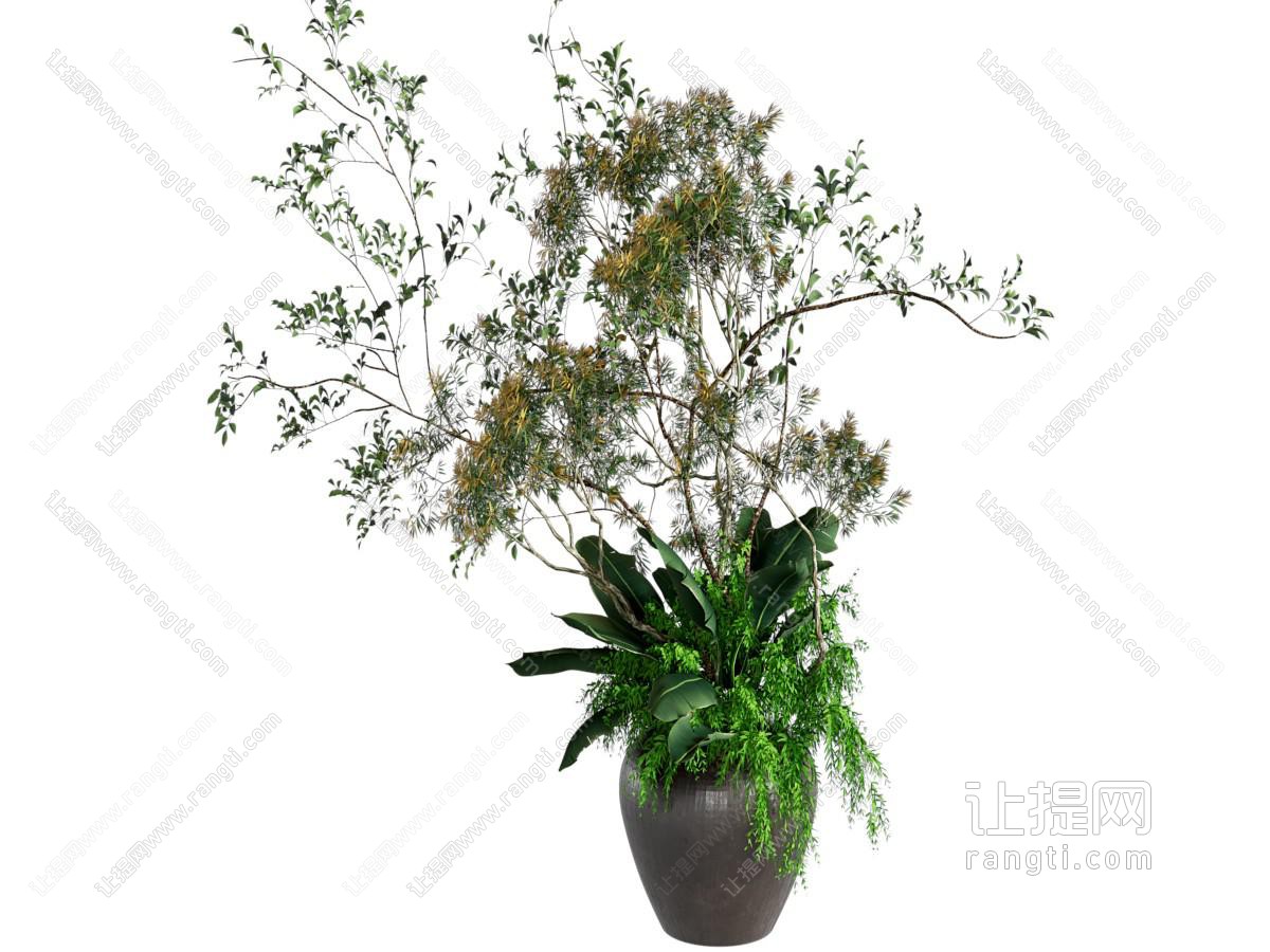 盆栽
